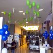 <h2>Balon Süsleme</h2>