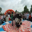 <h2>Piknik Organizasyon</h2>