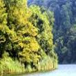 <h2>Piknik Yeri : AYDOS MESİRE YERİ</h2>